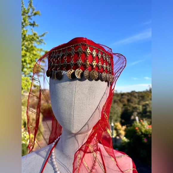 Belly Dance Costume new hand made Bra, trousers, 2 arm sleeves, hat& crop top - Picture 13 of 16